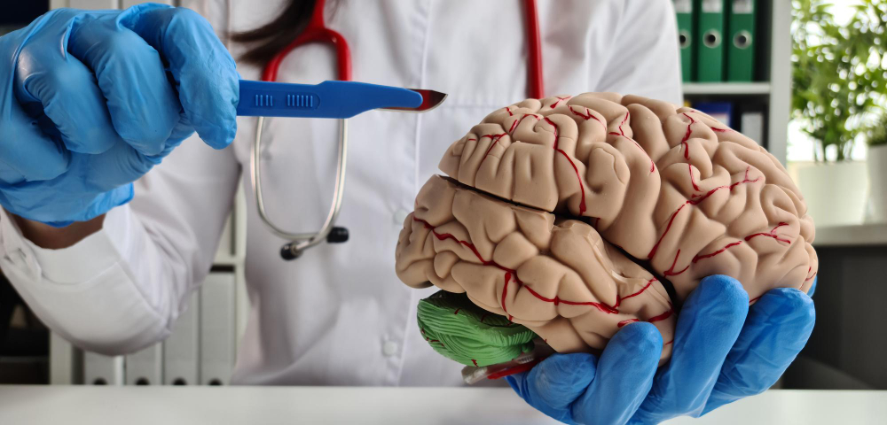surgeon-hands-are-holding-scalpel-model-human-brain (1).jpg